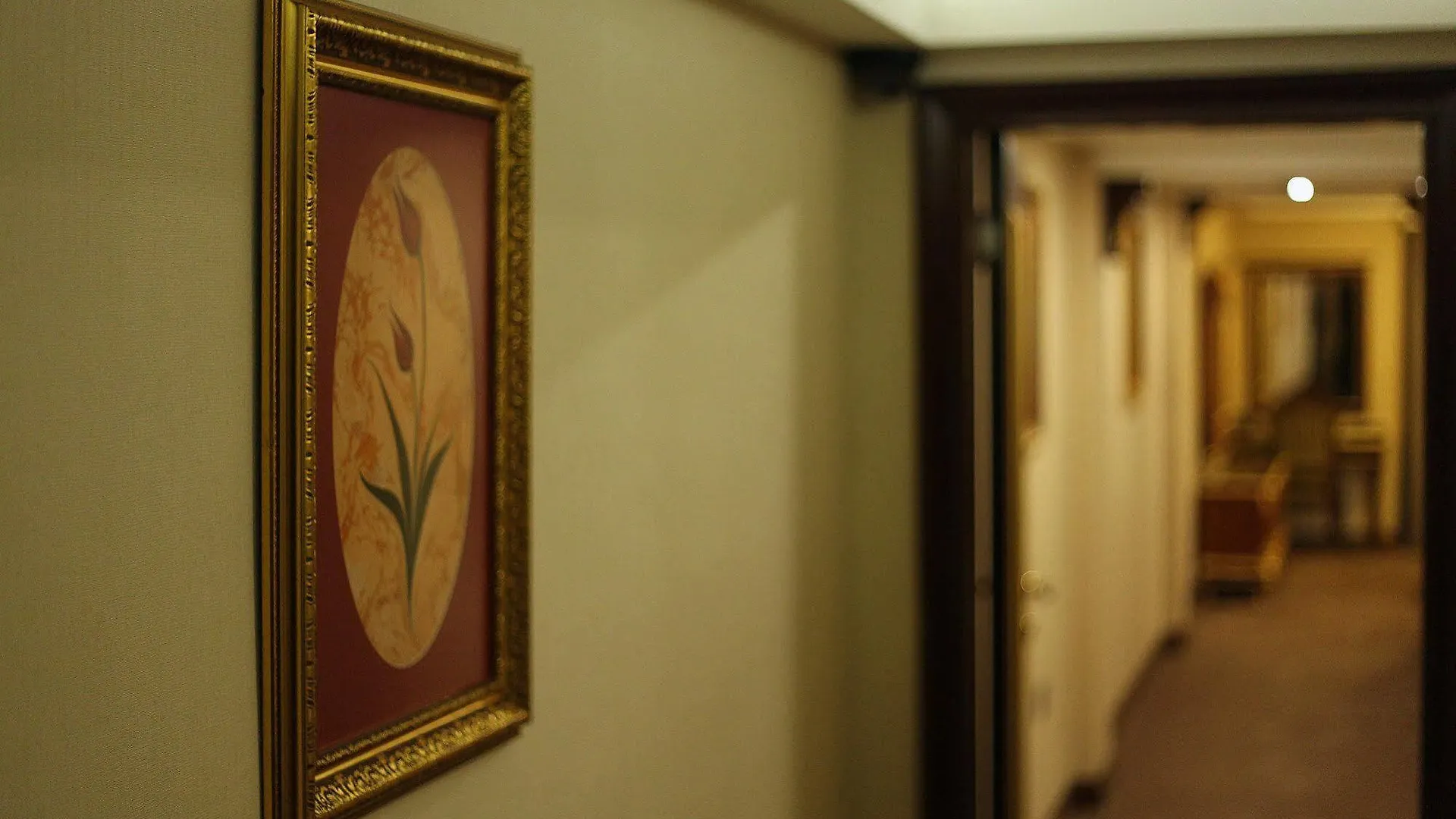 Moss Suites Hotel İstanbul